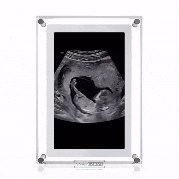 SnapFrame Digital Frame