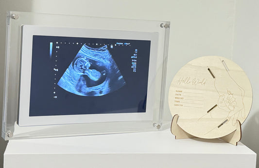 SnapFrame 10 inches Digital  Frame